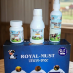 ROYAL MUST FIBRO GOLD KIT for Animals  Veterinary Support for Udder Swelling & Lumps in Cattle
